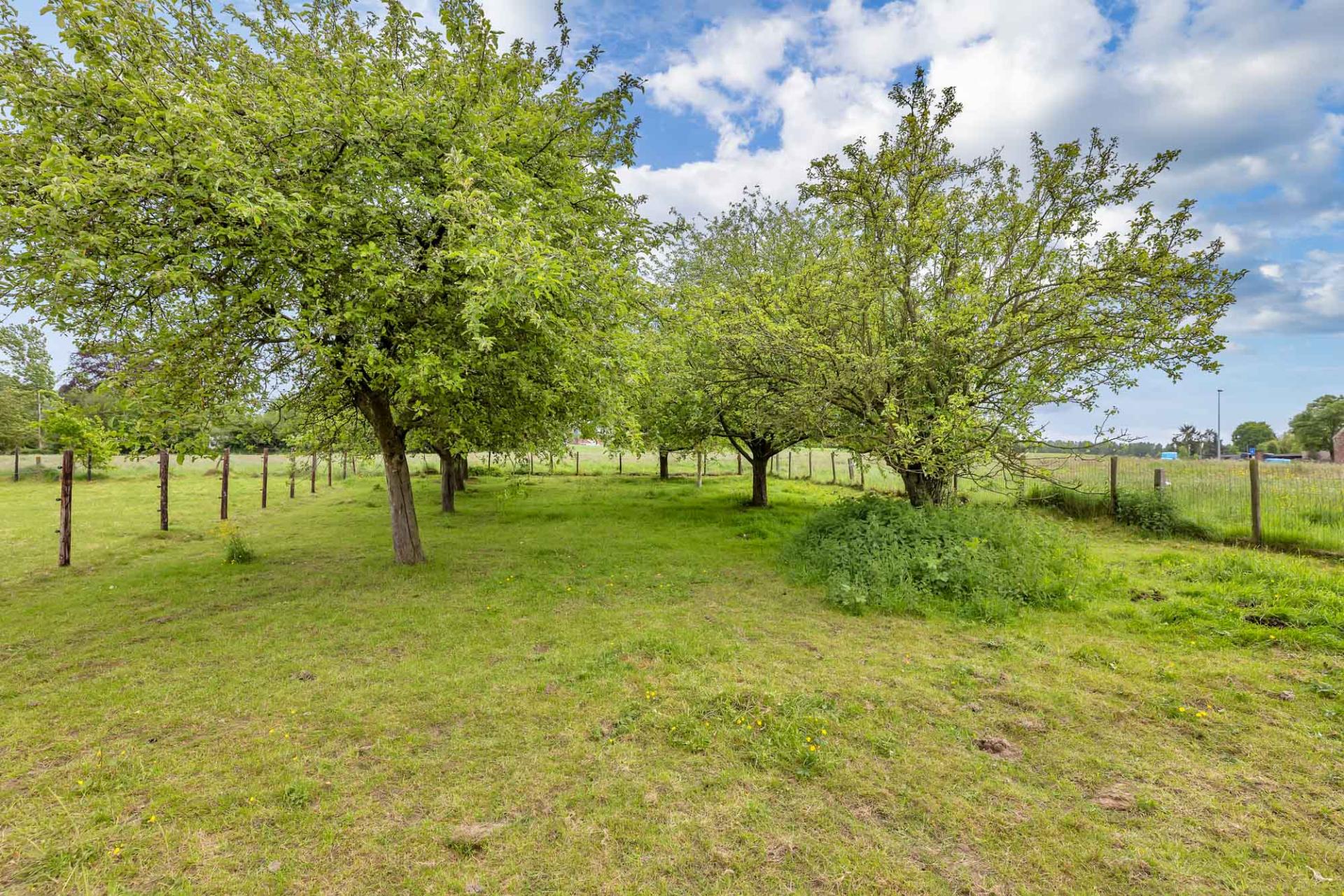 Hofveldweg-43,-Erpe-Mere-47.jpg