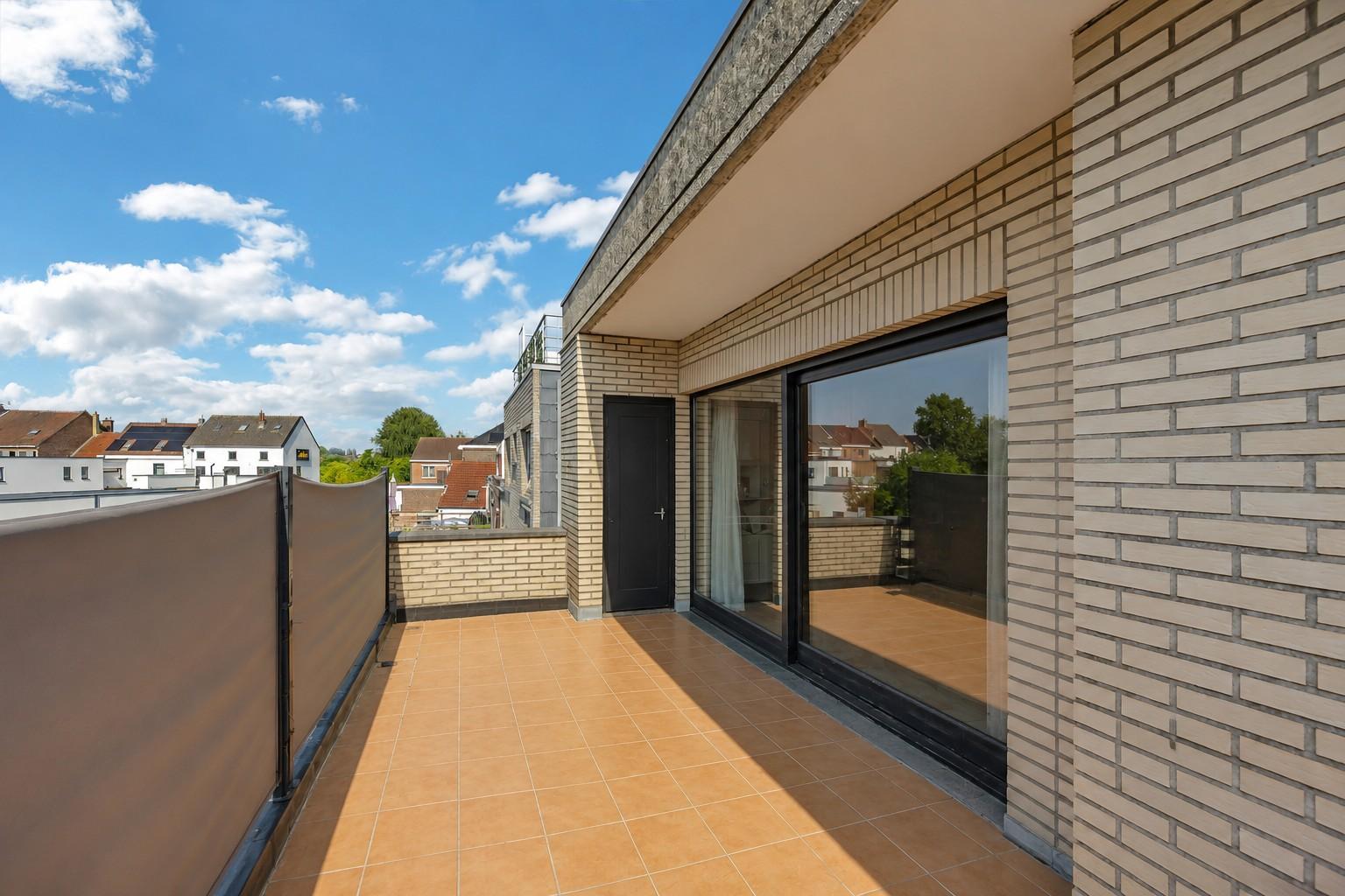 Terras-1.jpg