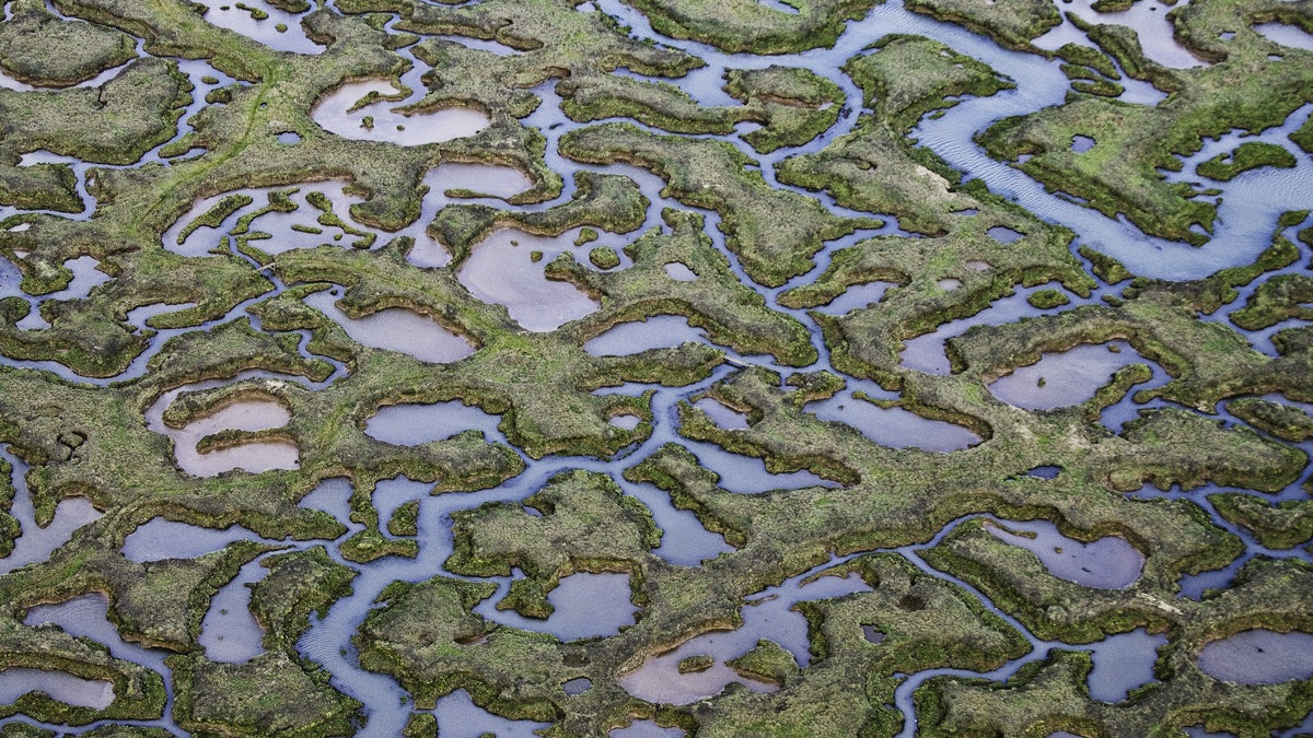 s_Vervenne_Abstract_Landscapes05